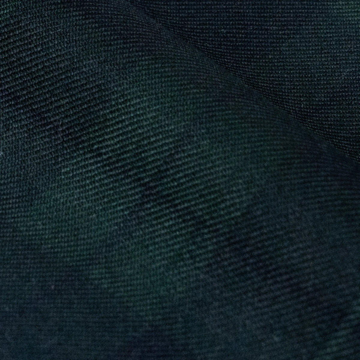 Algea