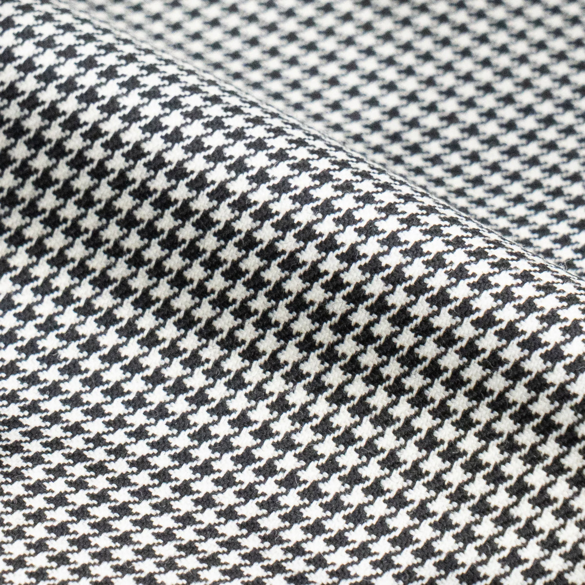 Dalmatian