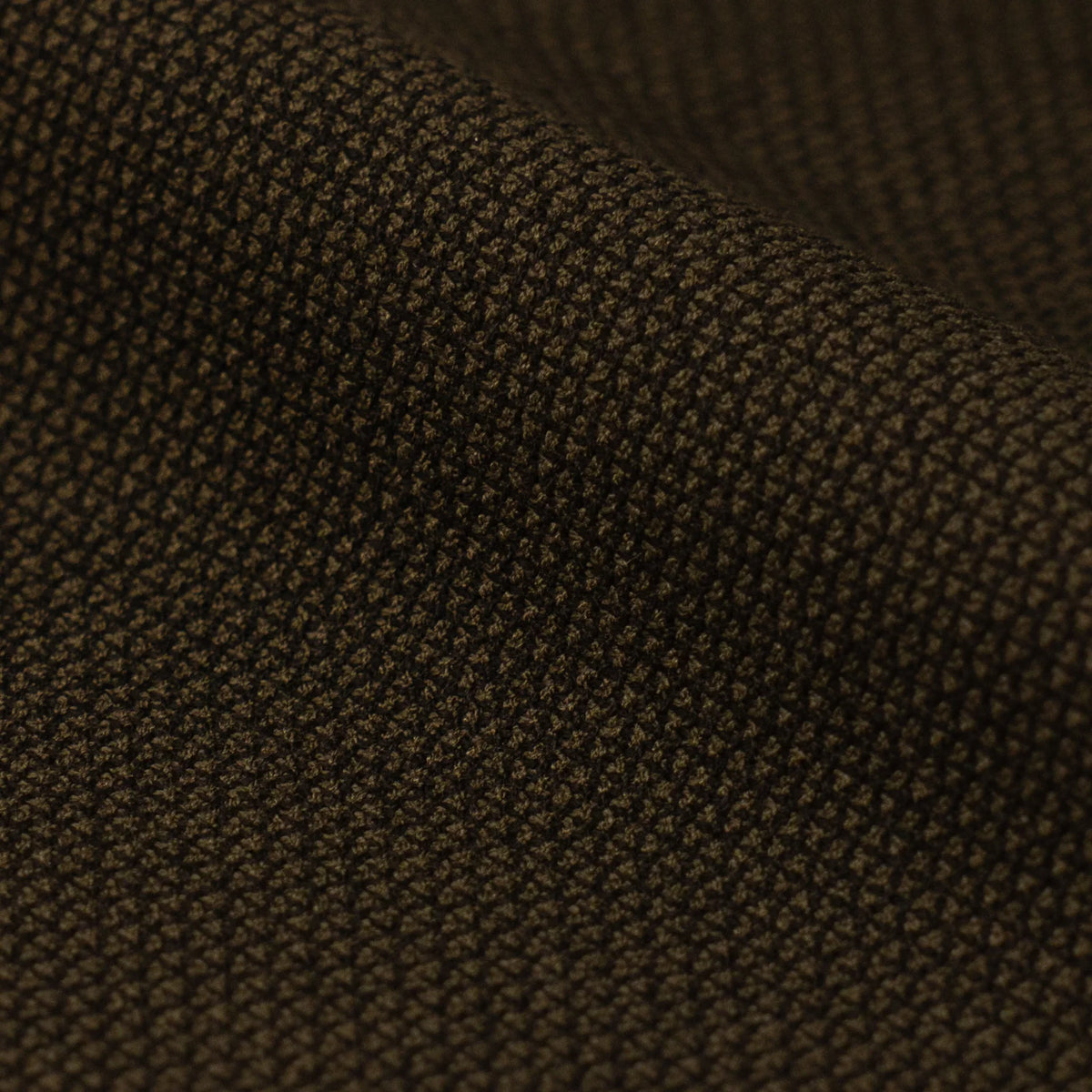 Forest Texture